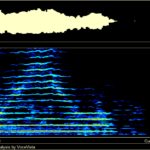 Samedi 10 Janvier 2026 - Stage Voix-Corps-Communication, à l'écoute des HARMONIQUES de notre voix !