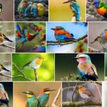 Pourquoi les oiseaux nous font-ils du bien ?